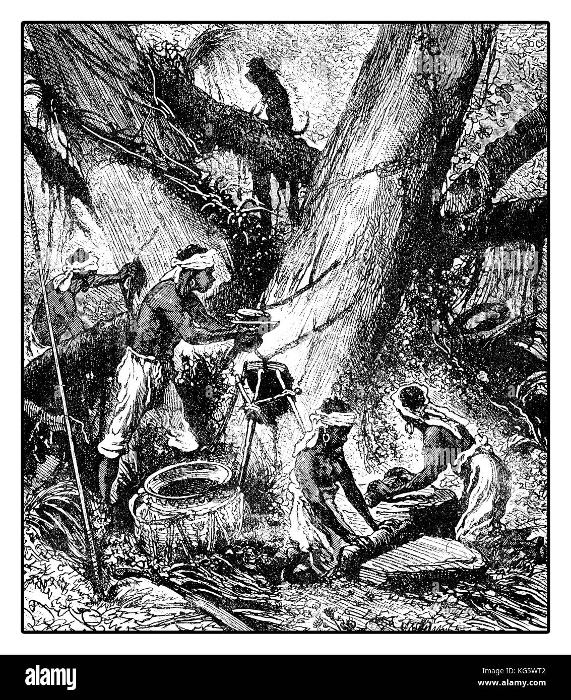 Illustrazione del XIX secolo della raccolta del lattice da palaquium per la produzione di gutta-percha con incisioni sulla corteccia dell'albero Foto Stock