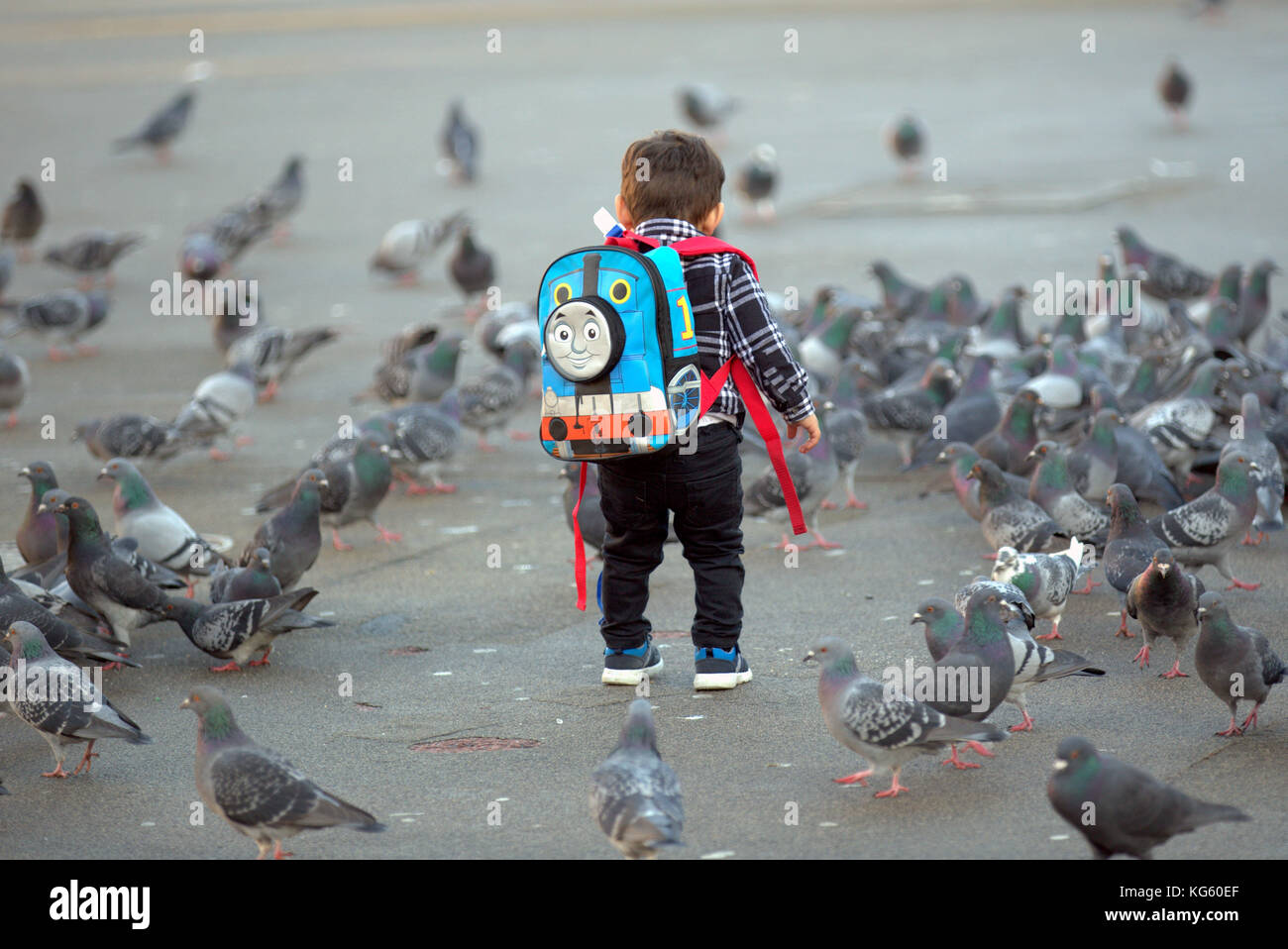 Ragazzo giovane bambino thomas il serbatoio del motore di alimentazione zaino piccioni visto da dietro Foto Stock