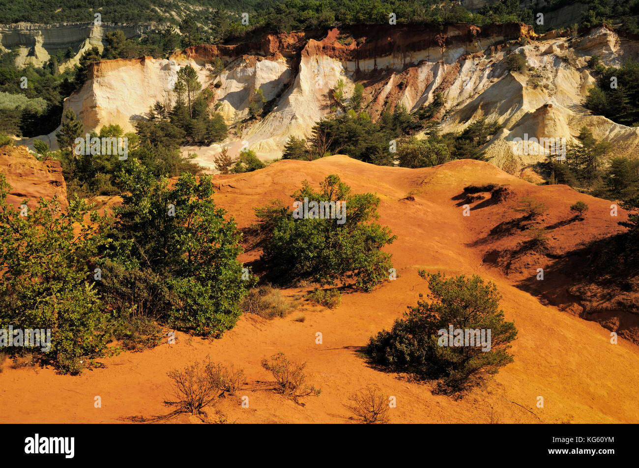 Scogliere ocra in Colorado provenzale, Rustrel, Vaucluse, Francia Foto Stock