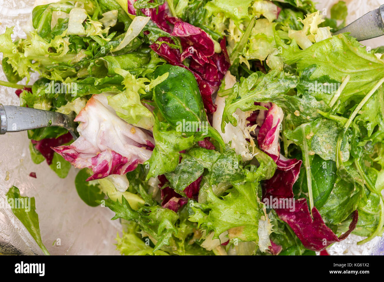 SALADE MELANGEE Foto Stock