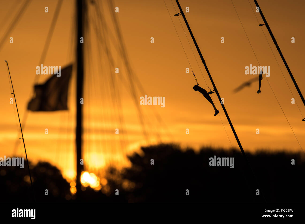 La pesca al mattino Foto Stock