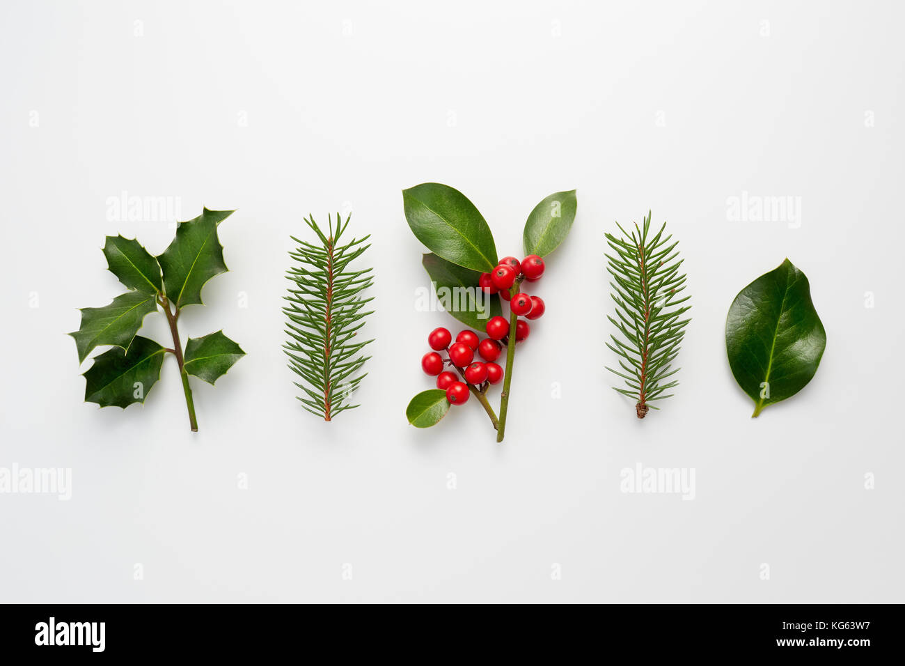 Raccolta di Natale decorativo piante con foglie verdi e holly bacche. Foto Stock