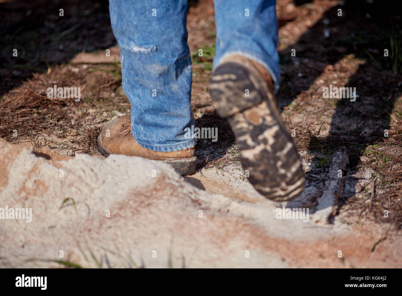 Abbassare le gambe di un uomo a piedi attraverso un mucchio di segatura di legno fresco sul terreno ad un mulino di legname Foto Stock