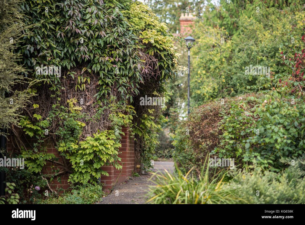 Lucy cavendish college Foto Stock