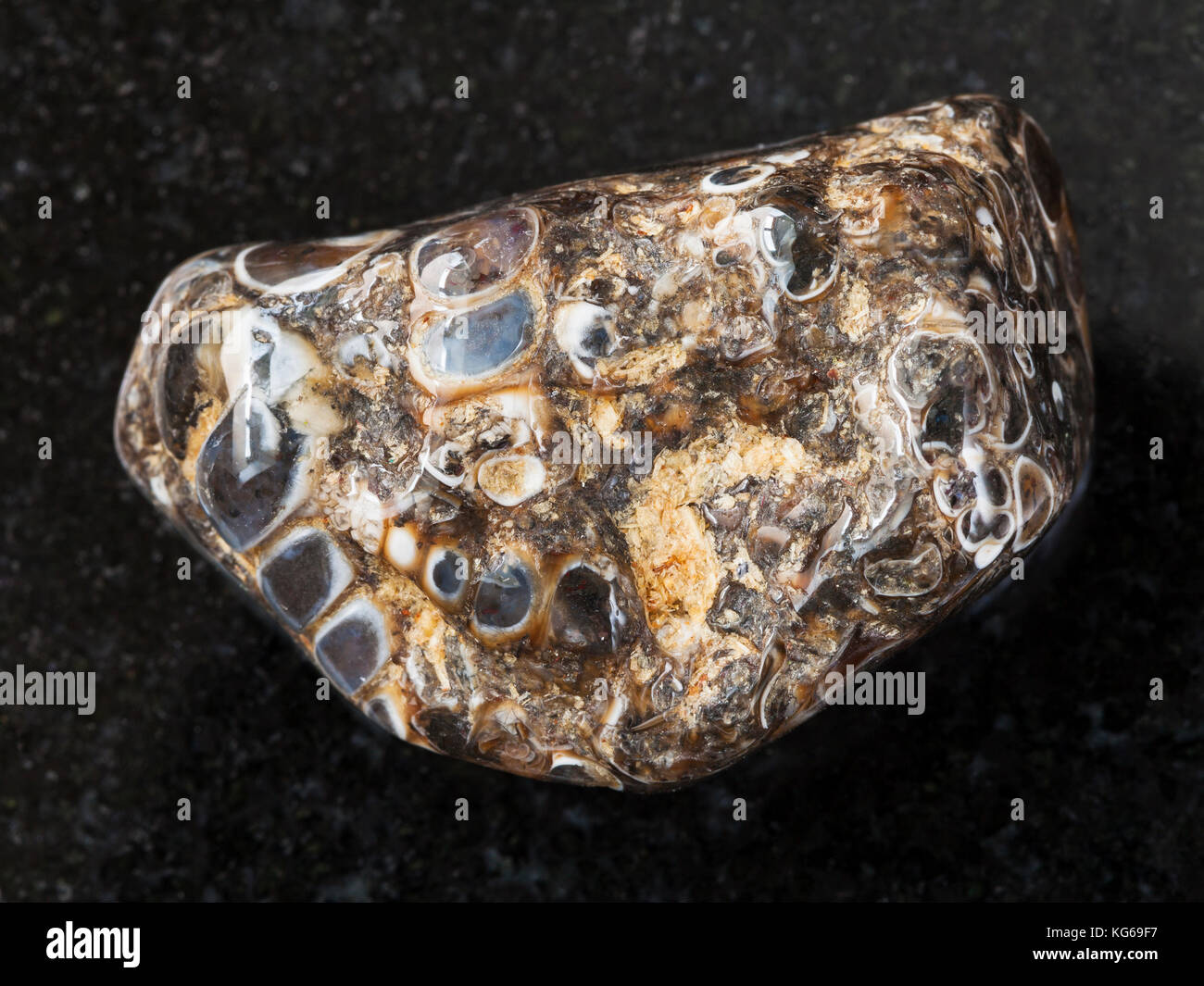 Le riprese in modalità macro di minerale naturale campione di roccia - burattati turritella gemma agata sulla pietra di granito scuro lo sfondo da Wyoming, Stati Uniti d'America Foto Stock