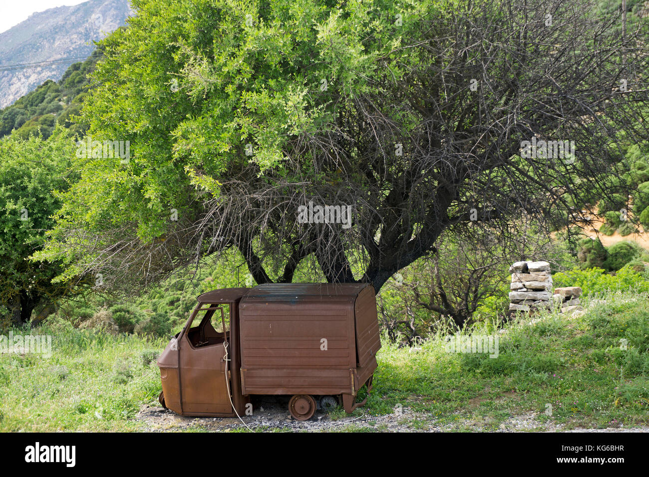 Auto rottamata sotto un albero in una strada, isola di Naxos, Cicladi, Egeo, Grecia Foto Stock