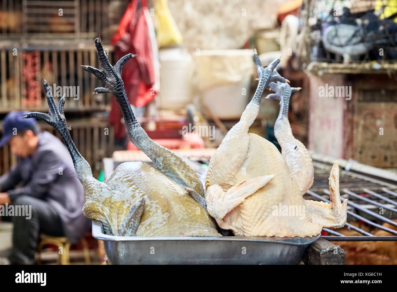Lijiang, Yunnan, Cina - 27 Settembre 2017: Close up foto di pollame su un vassoio presso il locale mercato di carne. Foto Stock