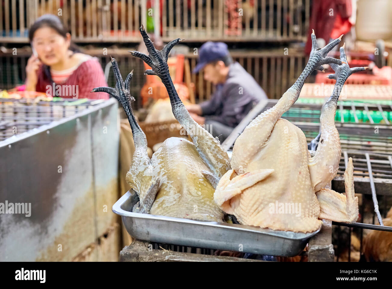 Lijiang, Yunnan, Cina - 27 Settembre 2017: Close up foto di pollame su un vassoio presso il locale mercato di carne. Foto Stock