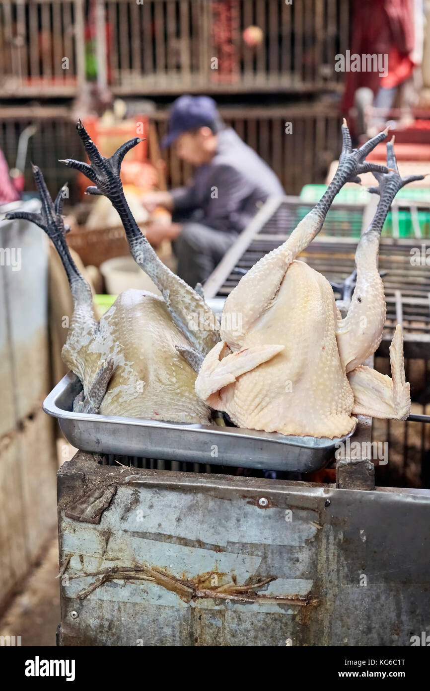 Lijiang, Yunnan, Cina - 27 Settembre 2017: Close up foto di pollame su un vassoio presso il locale mercato di carne. Foto Stock
