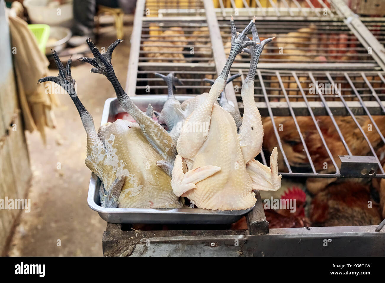 Il pollame su un vassoio presso il locale mercato di carne, il fuoco selettivo in Cina. Foto Stock
