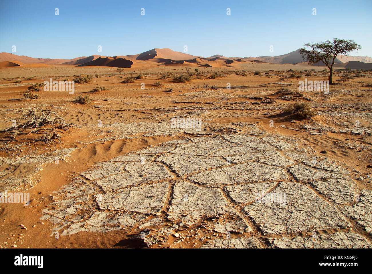 Le dune del deserto e visualizzare in Sossusvlei, Namib Naukluft national park, Namib Desert, Namibia. Foto Stock