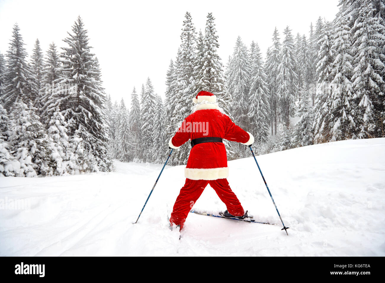 Babbo Natale sciatore con sci nei boschi in inverno a Natale Foto Stock