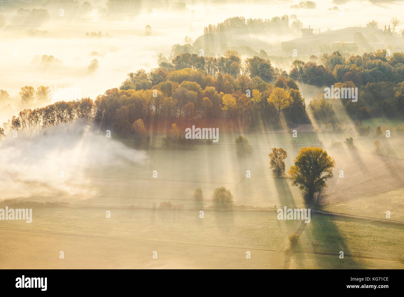 La nebbia e la nebbia che scorre attraverso gli alberi nella valle vicino al fiume Adda, Airuno, Italia Foto Stock