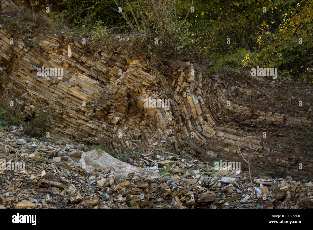 Struttura geologica di flysch dei Carpazi in monti Bieszczady Foto Stock