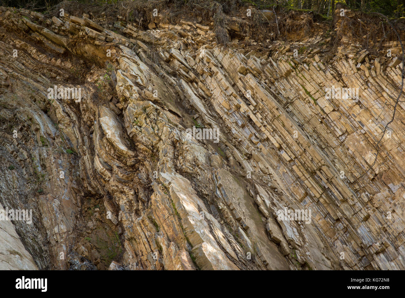 Struttura geologica di flysch dei Carpazi in monti Bieszczady Foto Stock