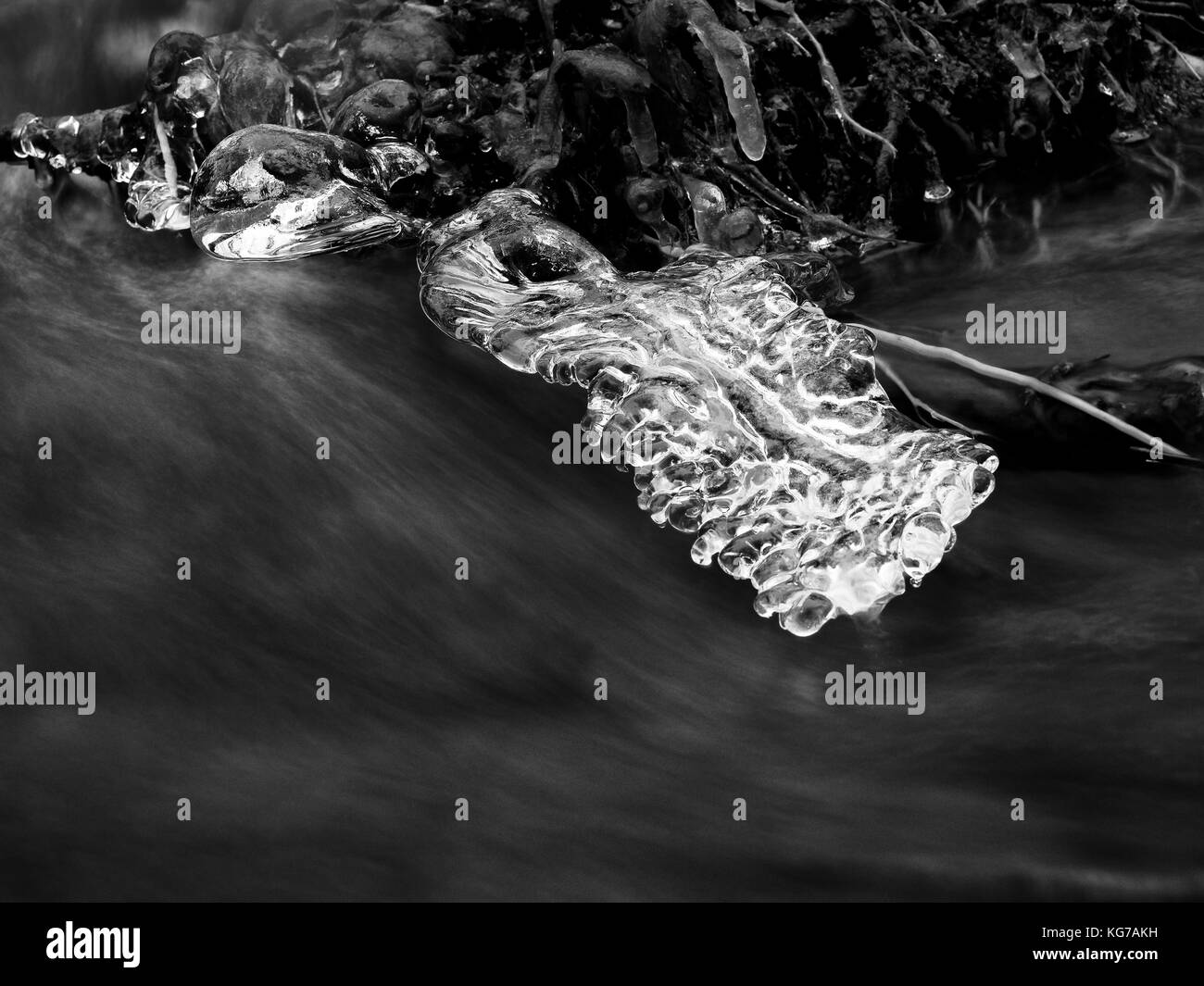 Ghiaccioli appendere sui rami e corteccia di ghiaccio al di sopra di peperoncino flusso rapido. inverno ruscello di montagna, lunghi e sottili di ghiaccioli sono appesi sul tronco caduto. Foto Stock