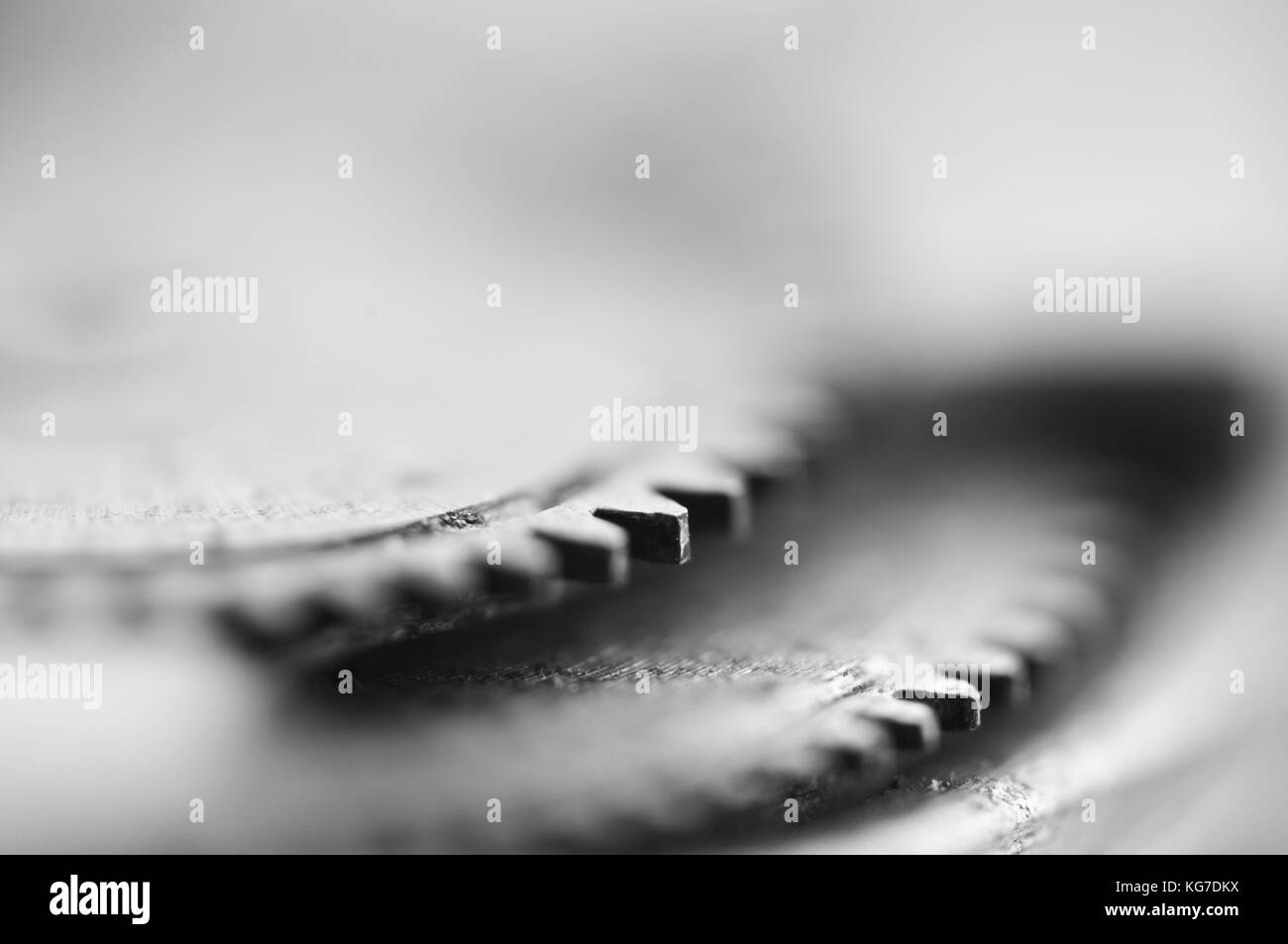 Ruote dentate, sfondo industriale monocromatico. Profondità di campo molto bassa, la messa a fuoco è molto piccola. Fotografia creativa per progetti concettuali. Macro. Foto Stock