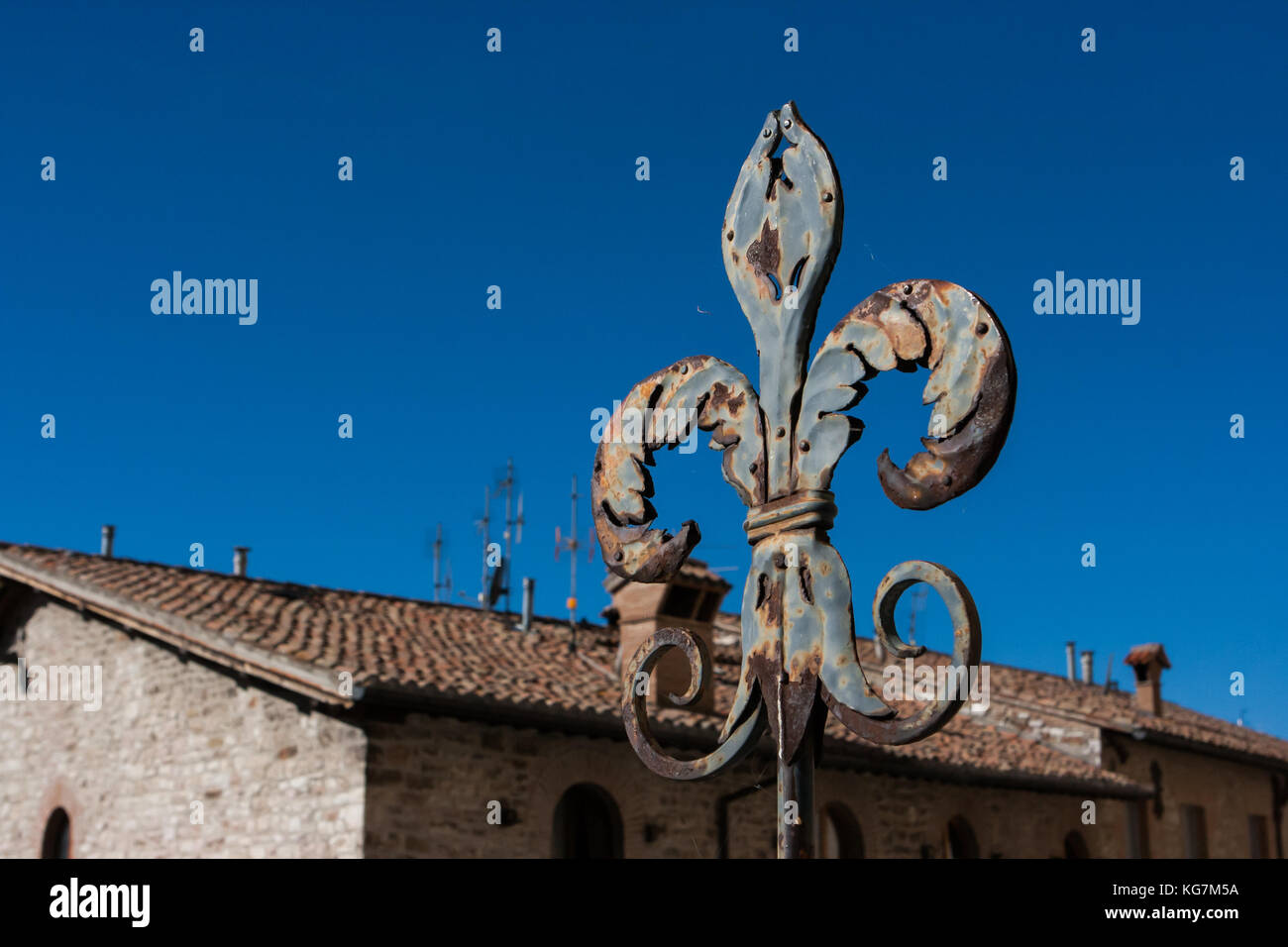 Fleur de Lis scherma a Gubbio in Umbria, Italia Foto Stock