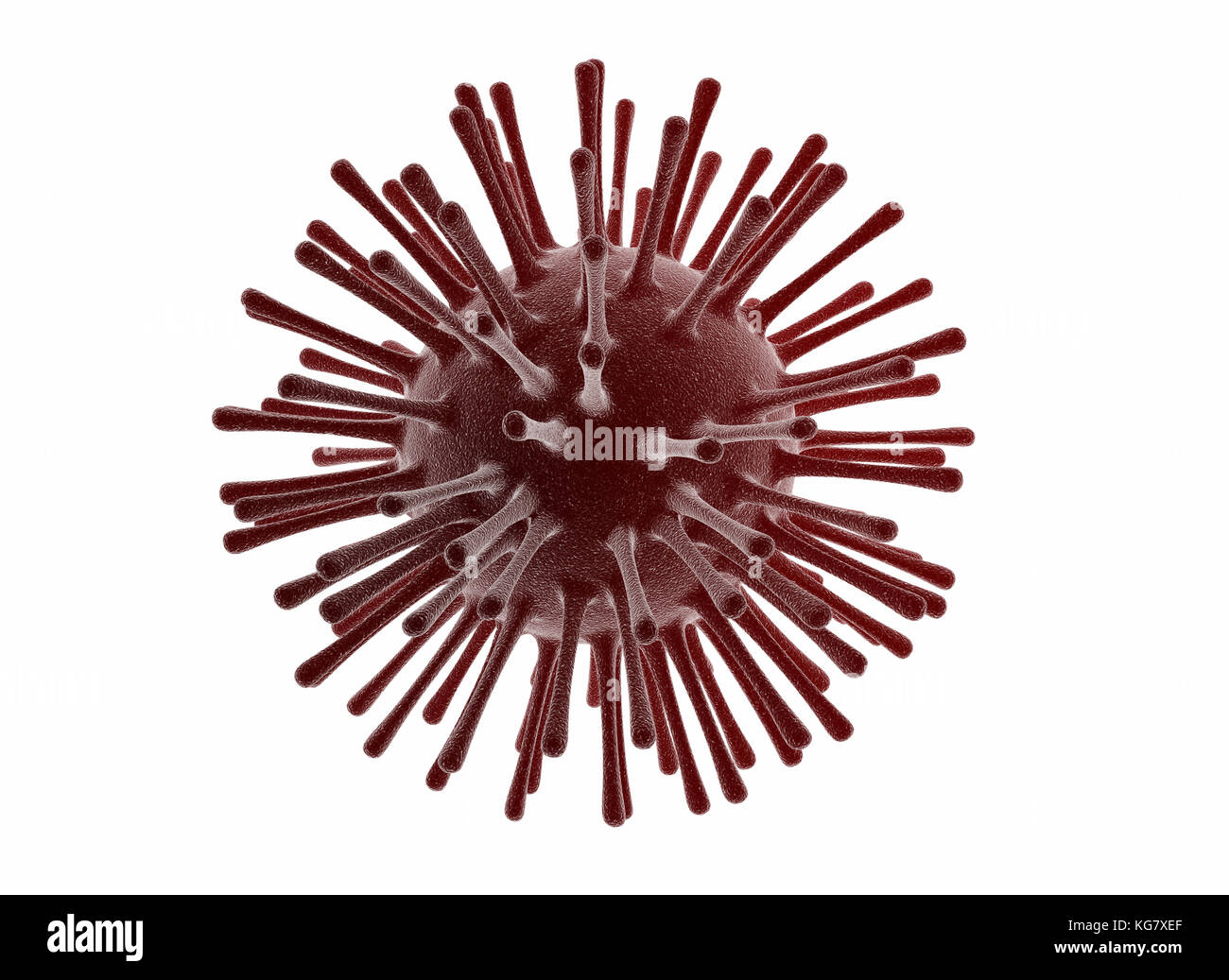 Il virus isolato cella su sfondo bianco Foto Stock