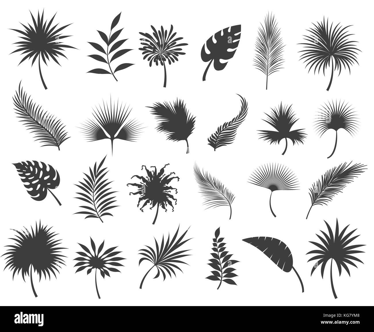 Foglie di palme sagome isolati su sfondo bianco. tropicale Coconut e banana giungla di foglie di palma o frond silhouette set, illustrazione vettoriale Illustrazione Vettoriale