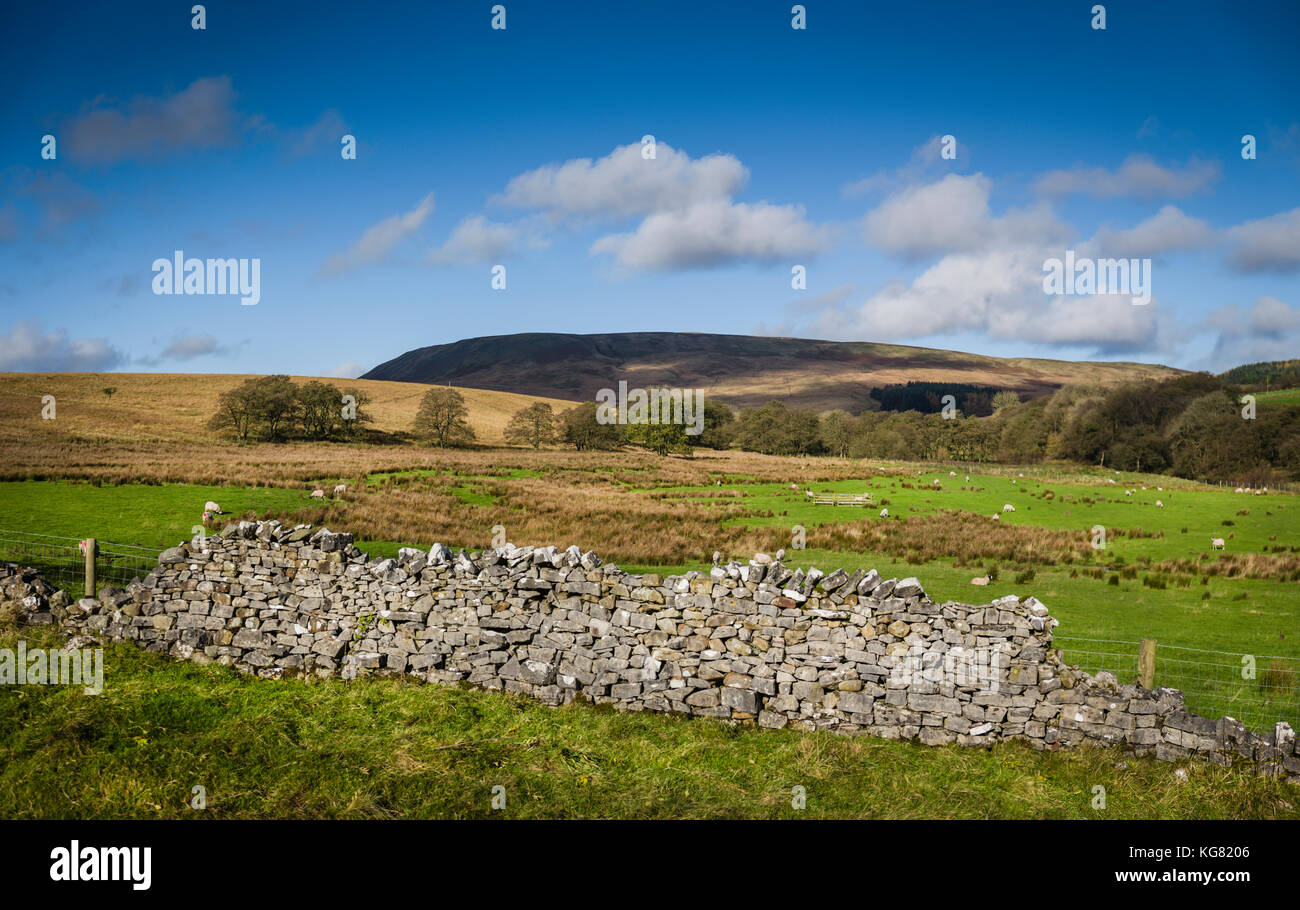 Itinerario a piedi intorno al serbatoio di scorte, Gisburn Forest, Lancashire, Regno Unito. Foto Stock