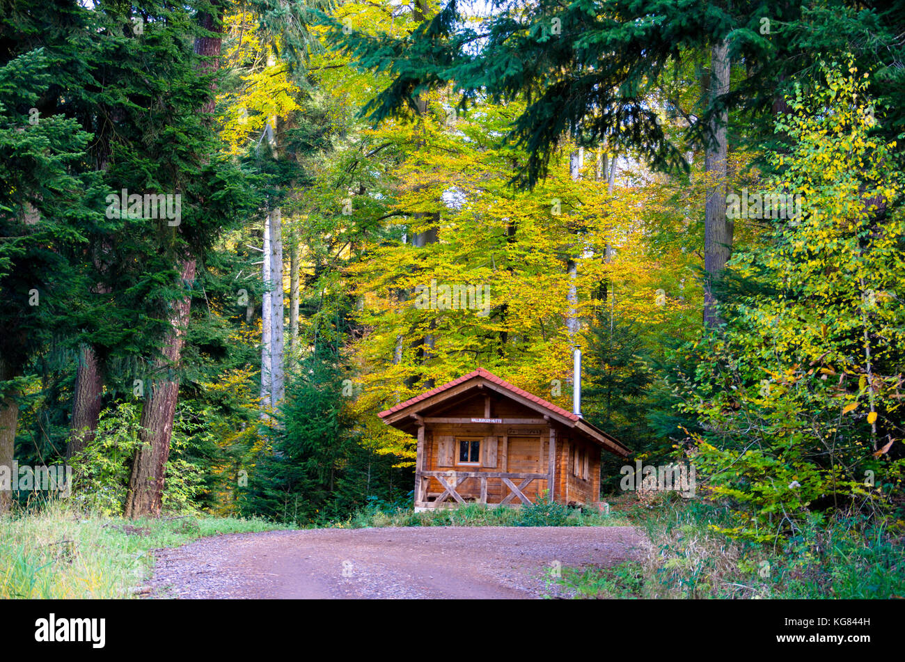Il cottage wallburg nella foresta nera Foto Stock