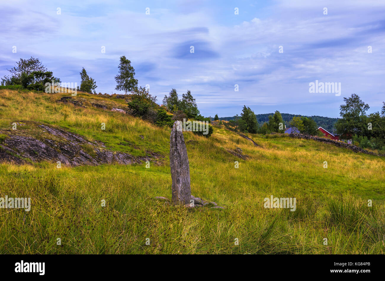 Le Rune Hoga pietra (Hogastenen) su Orust, Contea di Bohuslän, Svezia. Foto Stock