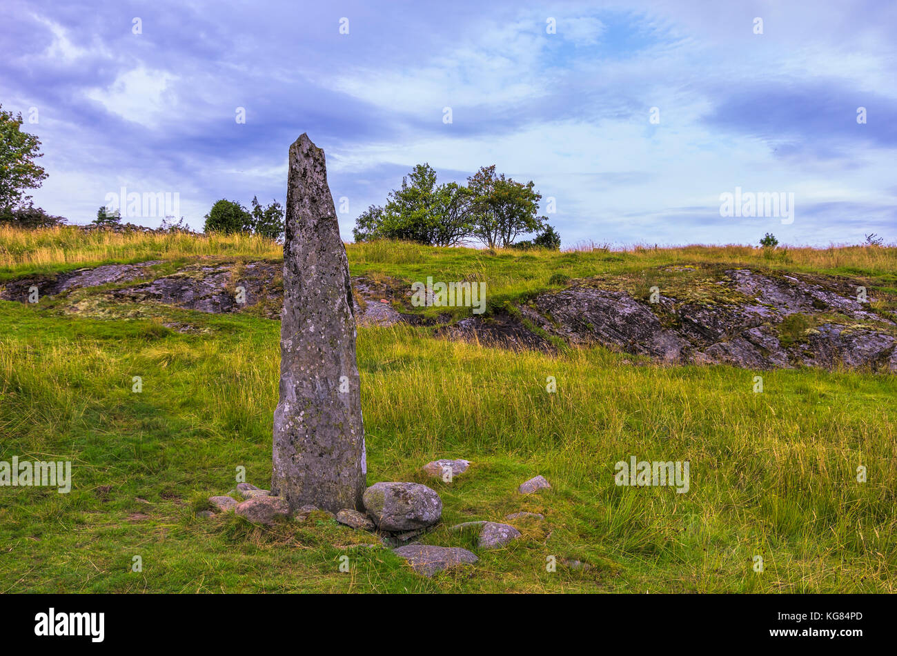 Le Rune Hoga pietra (Hogastenen) su Orust, Contea di Bohuslän, Svezia. Foto Stock