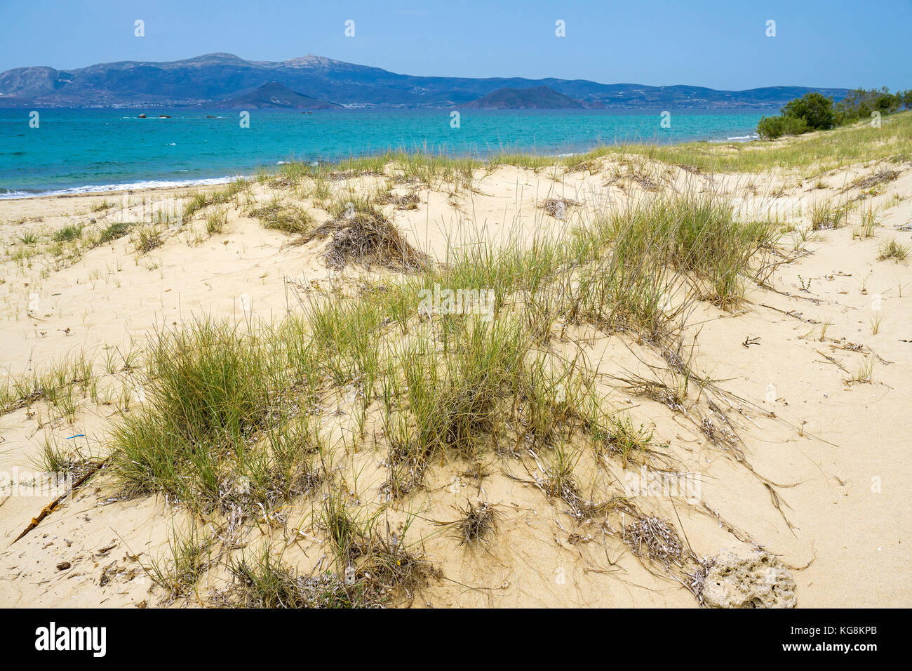 Dune presso la spiaggia di Plaka, lato ovest di Naxos, Cicladi, Egeo, Grecia Foto Stock