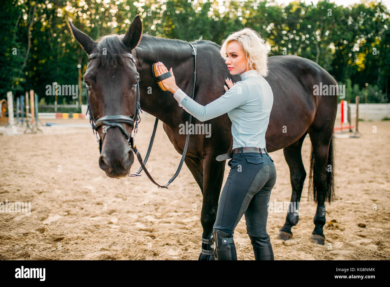 Giovane donna bionda prendere cura dei capelli di cavallo marrone. sport equestri, attraente dama e bellissimo stallone Foto Stock