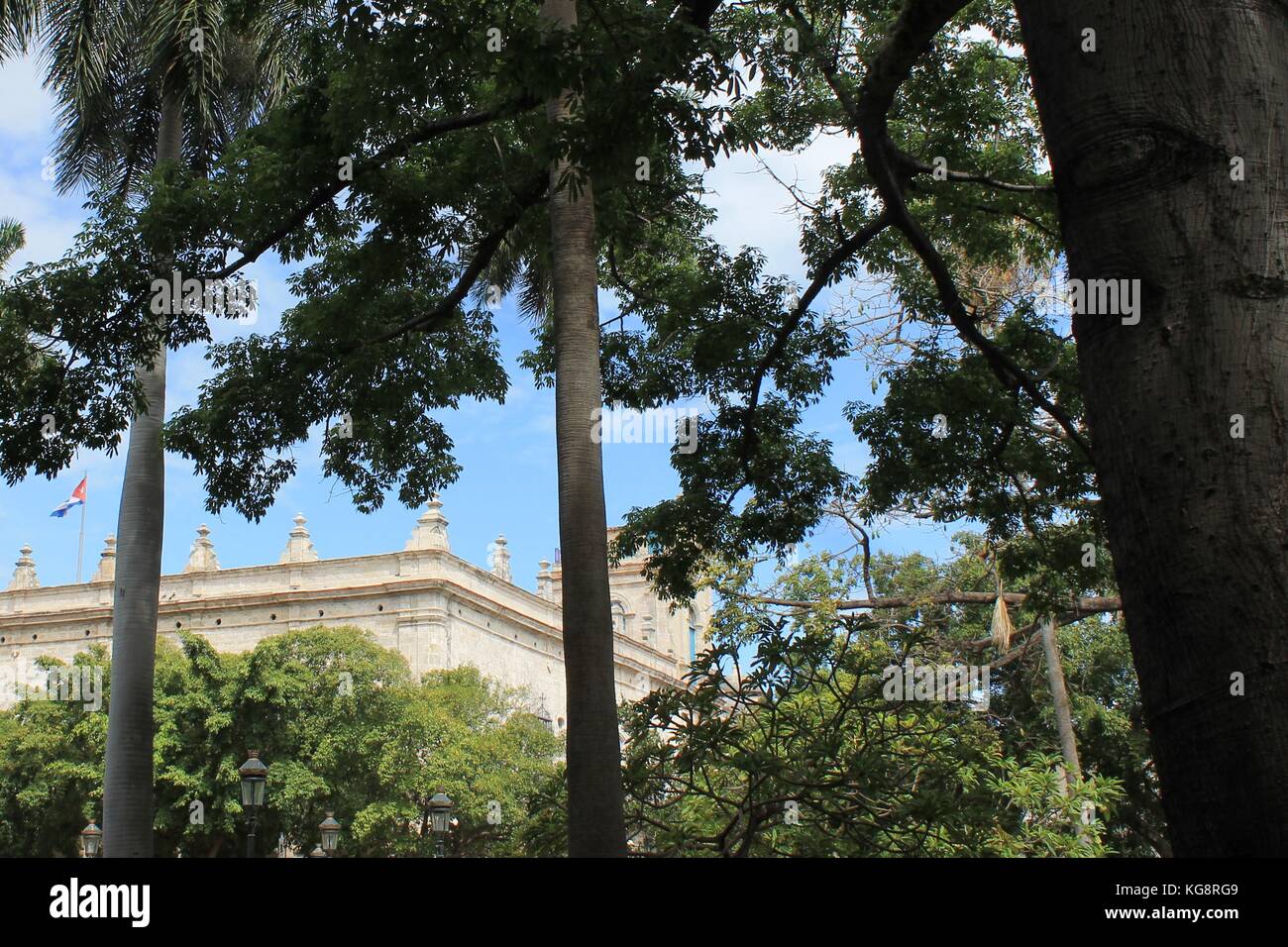 Guardando attraverso gli alberi in un vecchio stile spagnolo in costruzione in pietra con la bandiera cubana battenti sul tetto, l'Avana, Cuba. Foto Stock
