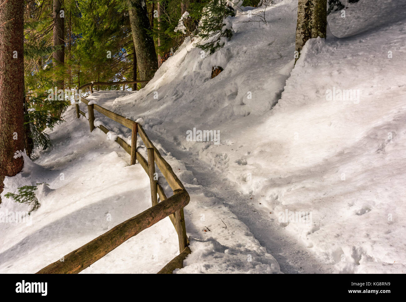Percorso con staccionata in legno in inverno foresta. incantevole paesaggio naturale Foto Stock