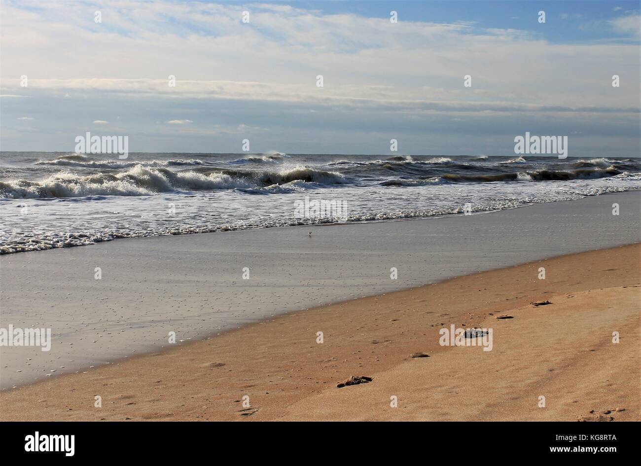 Orme nella sabbia, Ormond Beach, Florida, Stati Uniti d'America Foto Stock