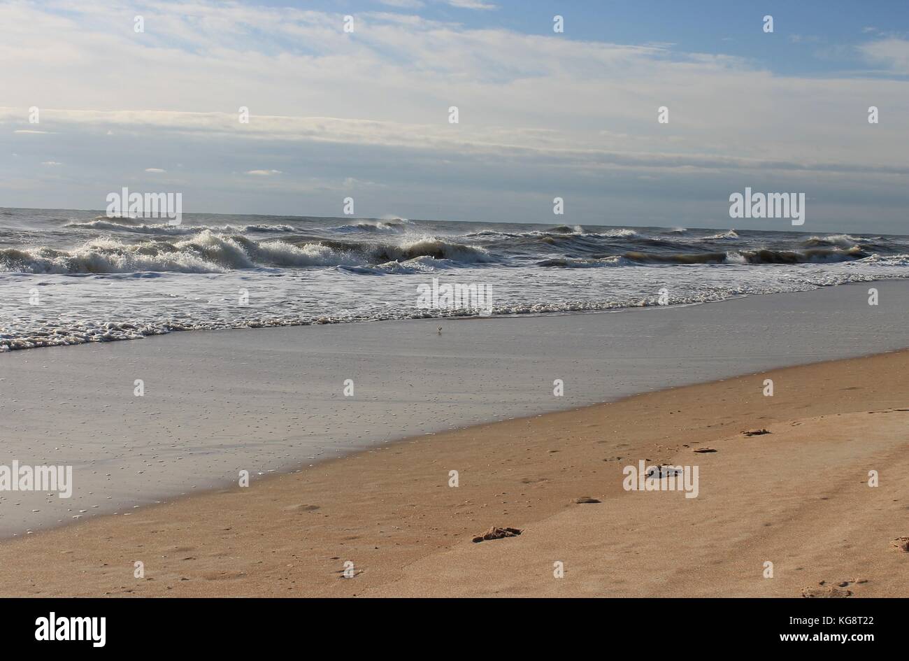 Orme nella sabbia, Ormond Beach, Florida, Stati Uniti d'America Foto Stock