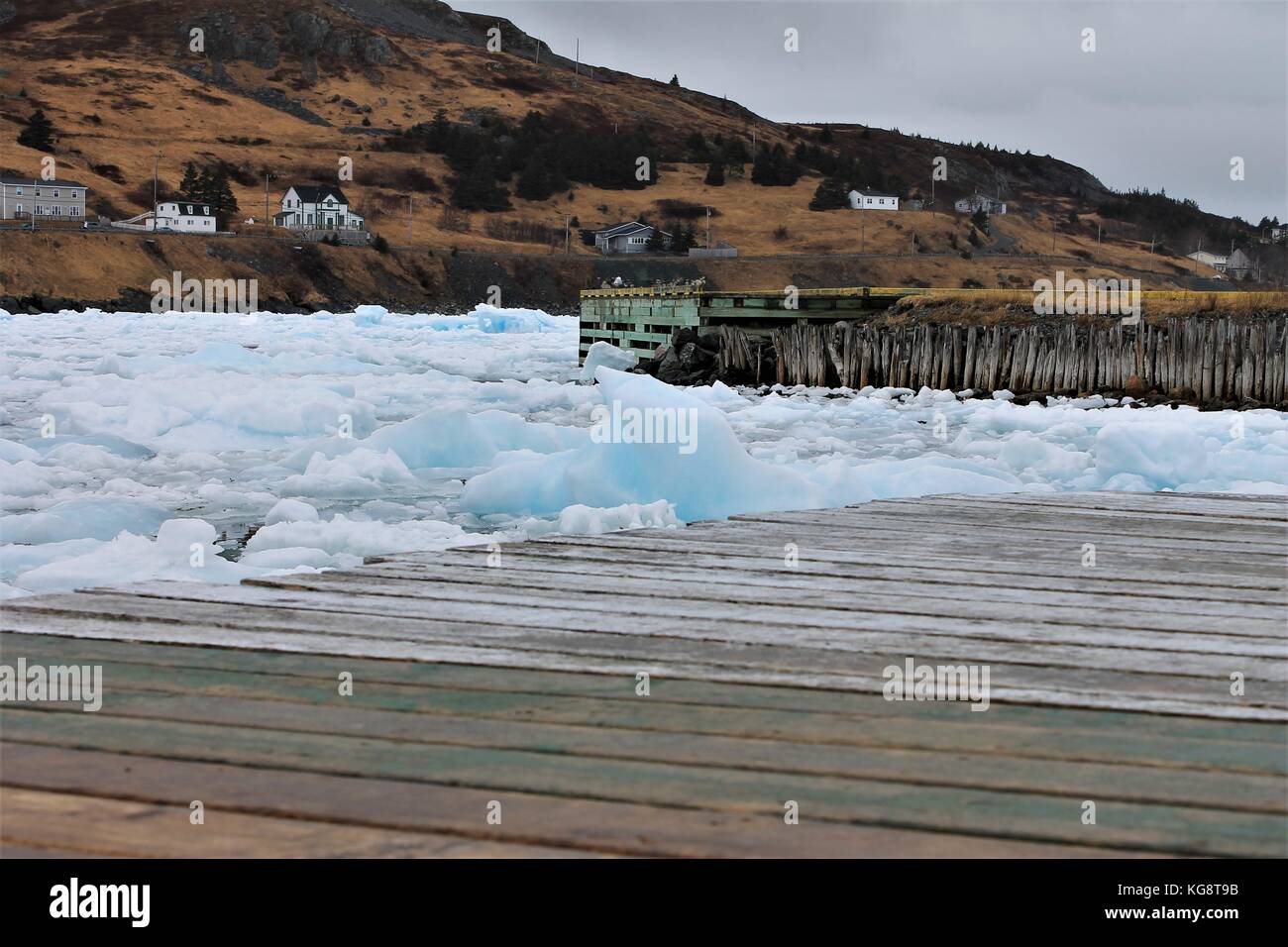 Pacco pesante ghiaccio riempie il porto, Ferryland, Terranova Labrador, Canada Foto Stock