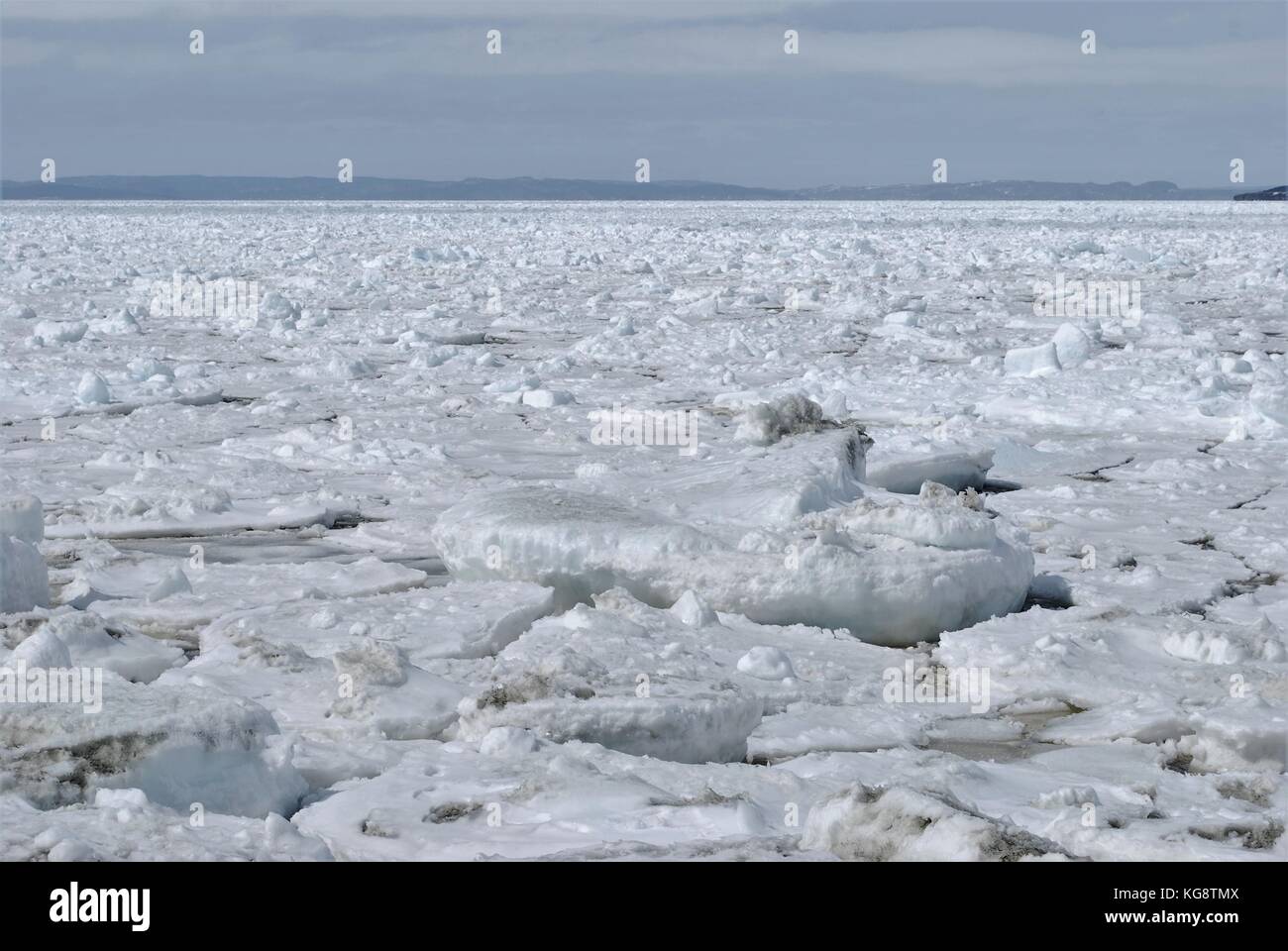 La banchisa nella baia, concezione baia a sud di Terranova e Labrador Foto Stock