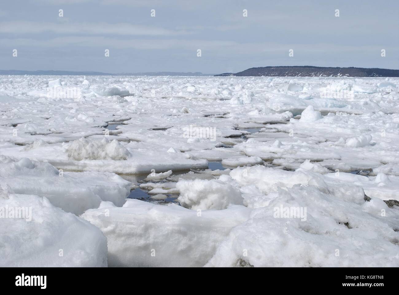 La banchisa nella baia, concezione baia a sud di Terranova e Labrador Foto Stock