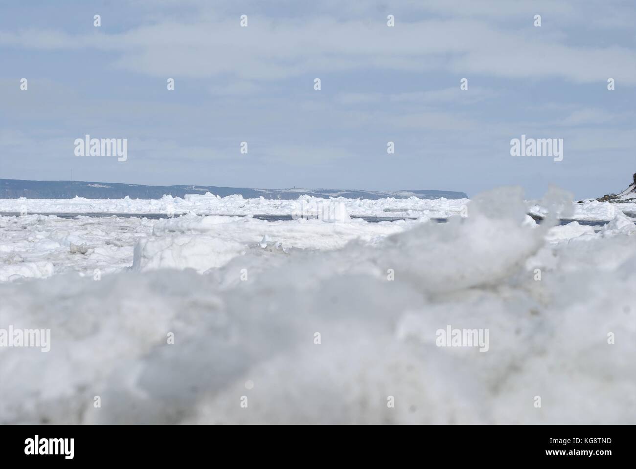 La banchisa nella baia, concezione baia a sud di Terranova e Labrador Foto Stock