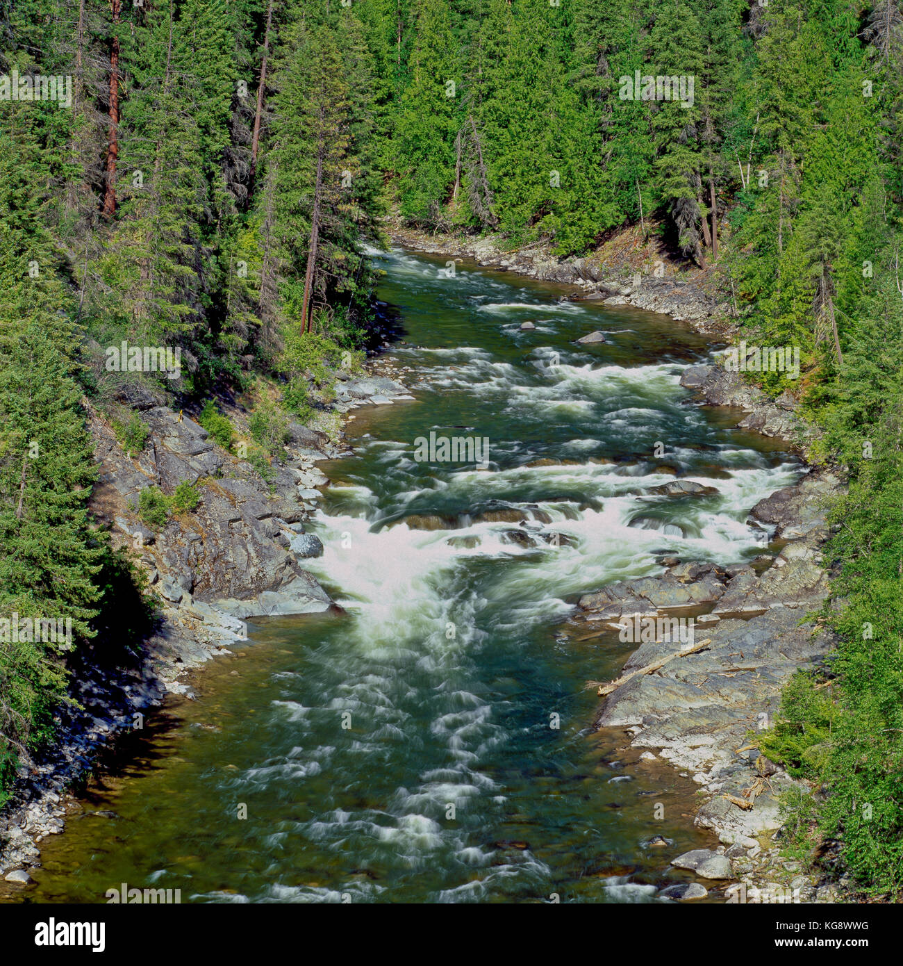 Rapide sul fiume yaak kootenai nella foresta nazionale vicino yaak, montana Foto Stock