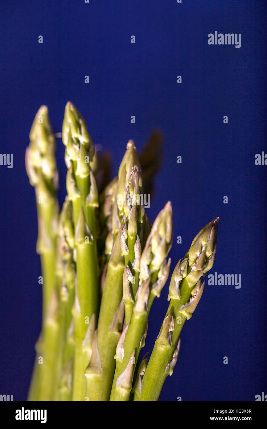 Mazzetto di asparagi su uno sfondo blu. Foto Stock