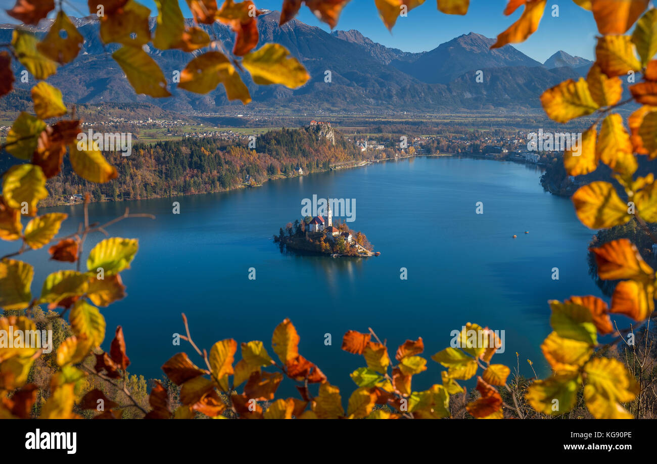 Bled, Slovenia - Autunno fogliame incorniciato vista aerea della chiesa di Assunzione di Maria sul Lago di Bled e Castello di Bled in una mattina soleggiata con Alpi Giulie A. Foto Stock