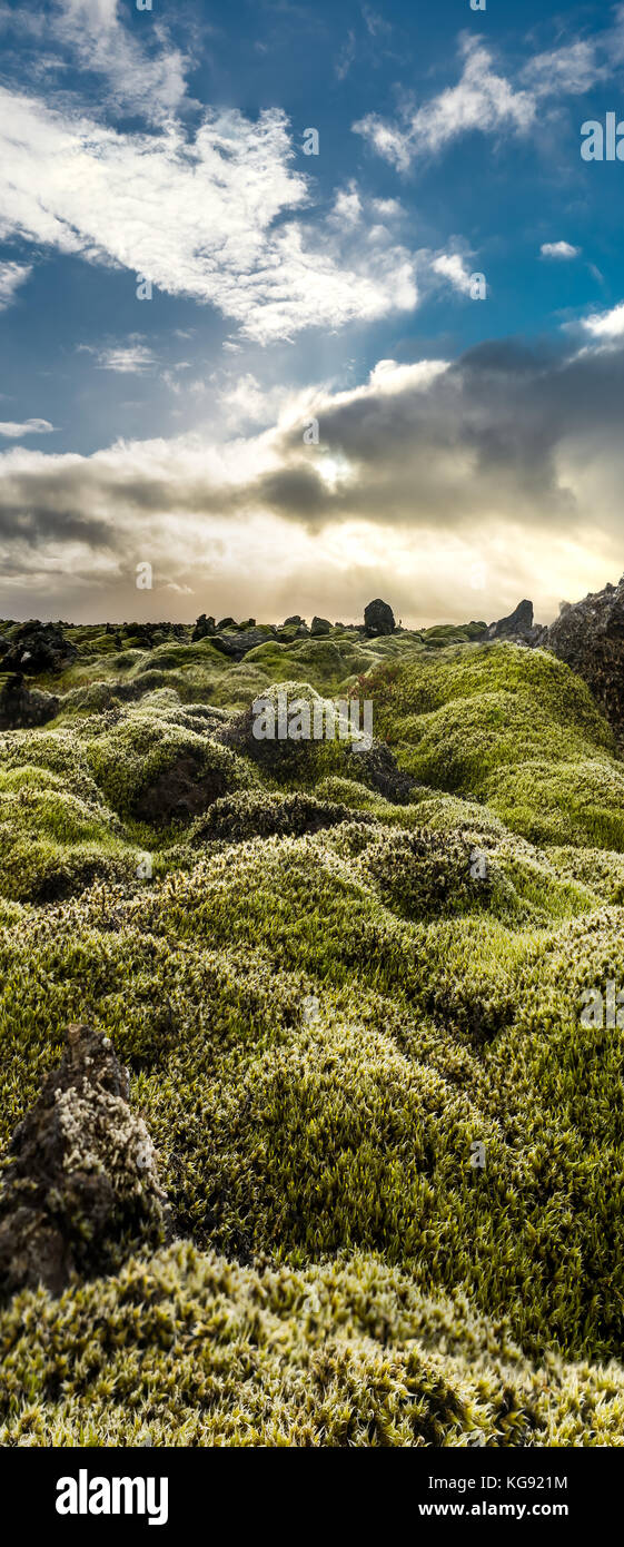 La luce del sole con muschio verde e blu nubi del cielo durante il tramonto in Ic Foto Stock