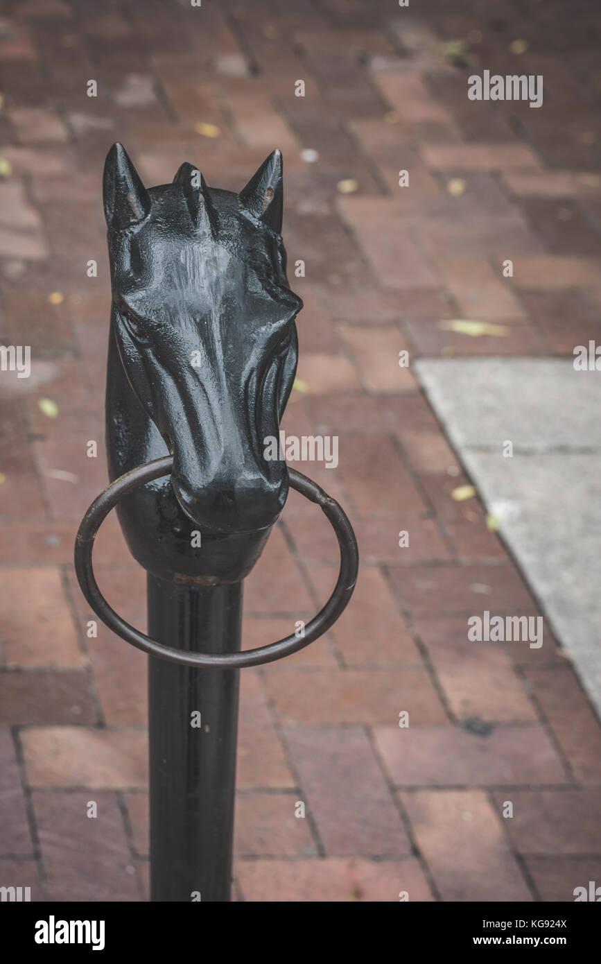 Iron Horse legare giù sulla strada di città Foto Stock