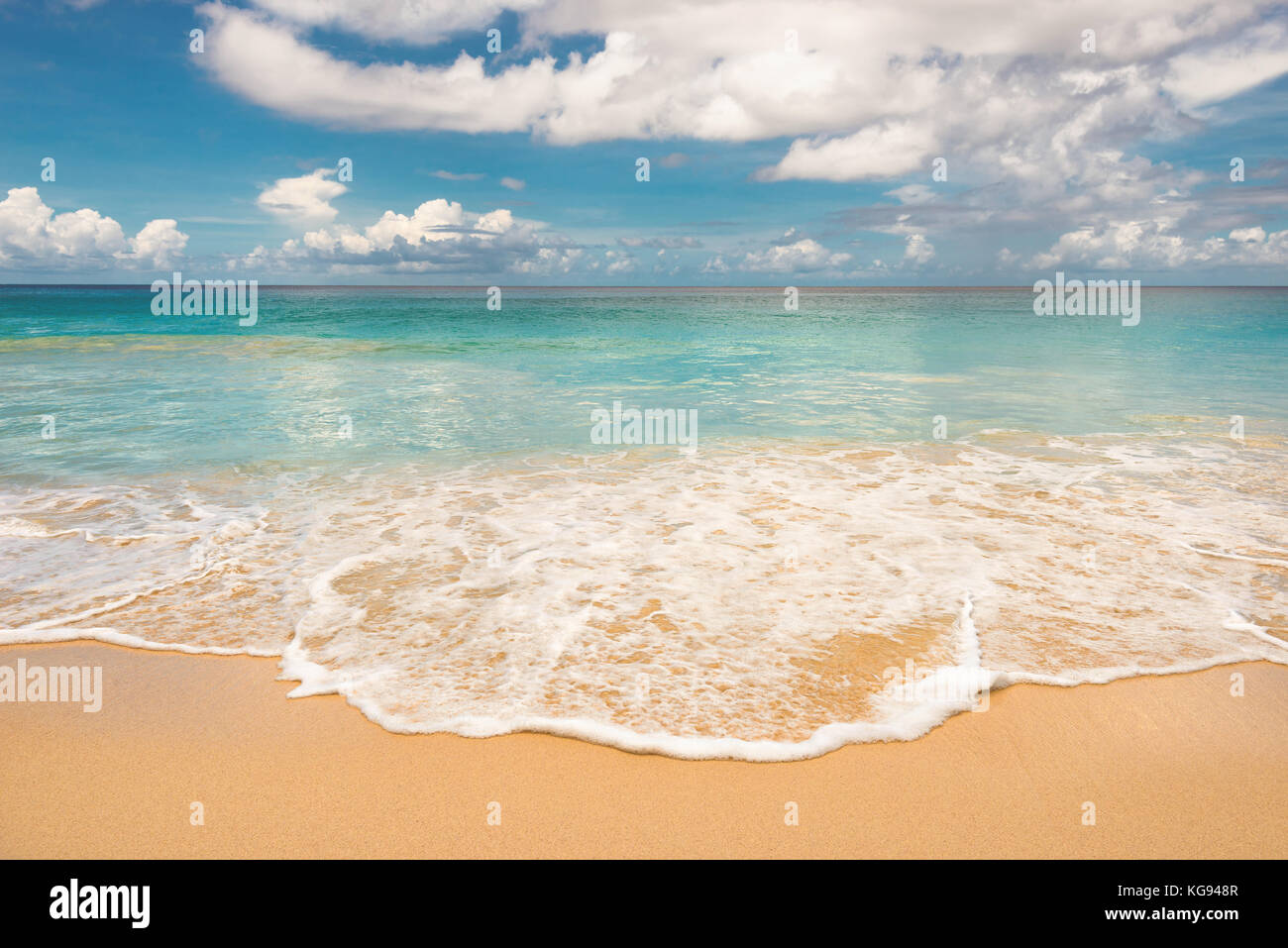 bellissima spiaggia Foto Stock