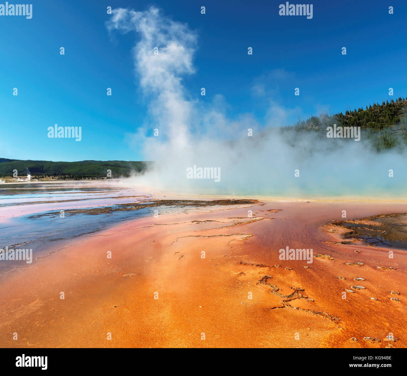 Grand Prismatic Spring nel Parco Nazionale di Yellowstone Foto Stock