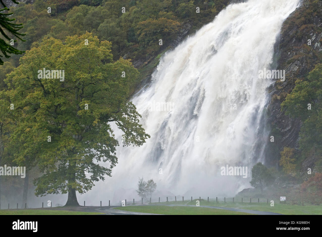 Al Powerscourt cascata, Enniskerry, Co. Wicklow, Irlanda Foto Stock