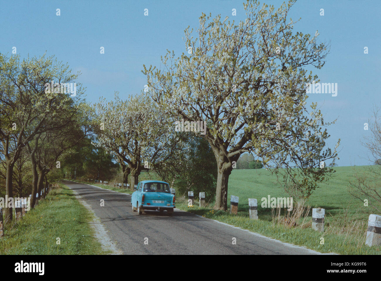 Auto sulla strada con la fioritura dei ciliegi in Primavera. vicino ubar città, quartiere salzwedel, Repubblica democratica tedesca. 1987. Eseguite la scansione della pellicola di scorrimento. Foto Stock
