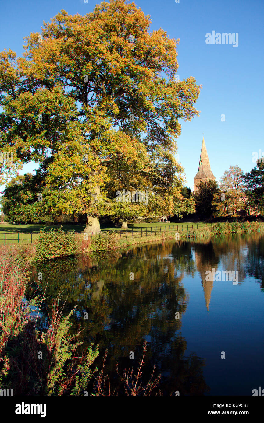 In autunno gli alberi in terreni di Castello di Broughton vicino a Banbury, Oxfordshire Foto Stock