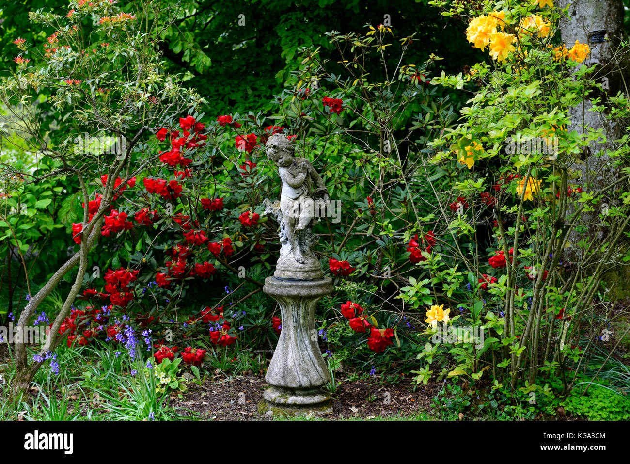 Imp, statua, funzione,Altamont Gardens, Corona a nord, rosso rododendro, carlow, giardino, giardino trail, carlow garden trail, RM Floral Foto Stock