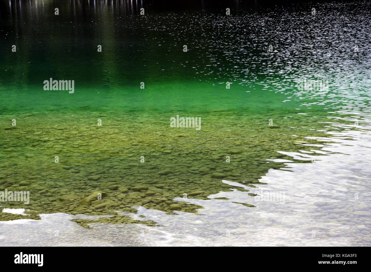 Invitanti acque di un verde chiaro sulle rive del lago di Bohinj, Slovenia Foto Stock